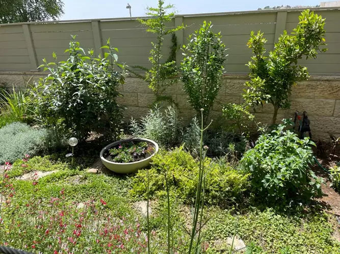 תכנון והקמת גינה כולל תחזוקה 3